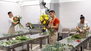 Equipo de trabajo de La Rosaleda